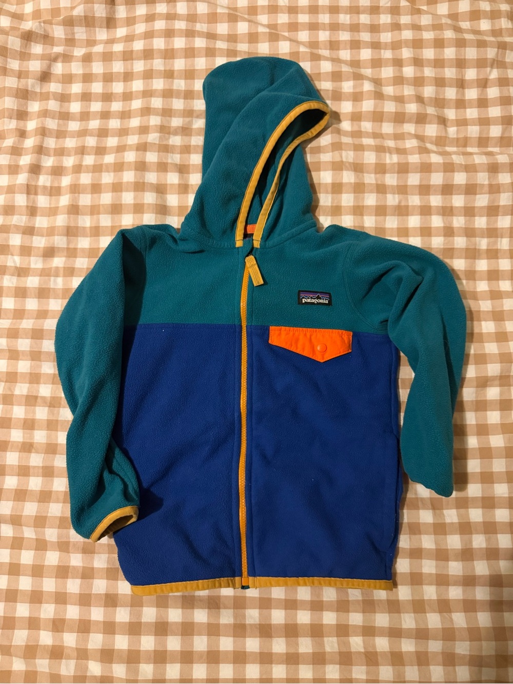 Boys Patagonia fleece size 4T